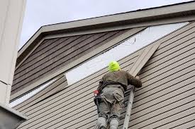 Best Fascia and Soffit Installation  in Oakland, MD